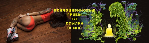 амф Ладушкин