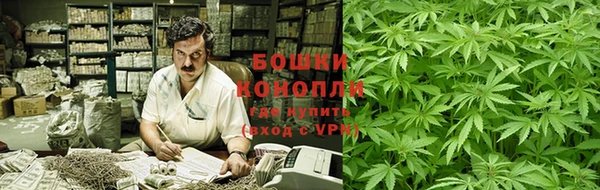 амф Ладушкин