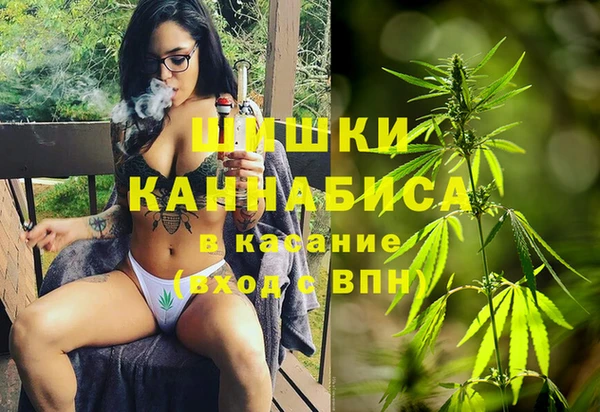 амф Ладушкин