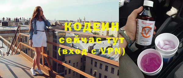 амф Ладушкин