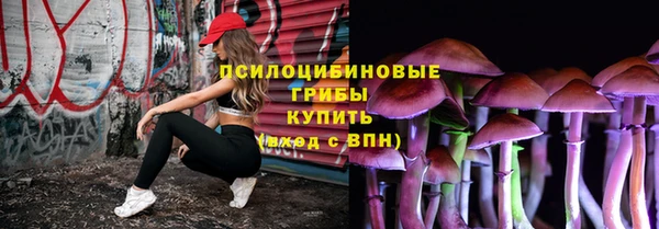 амф Ладушкин