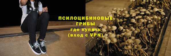 амф Ладушкин